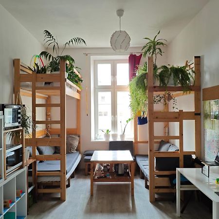 Evergreen Hostel Краков Экстерьер фото