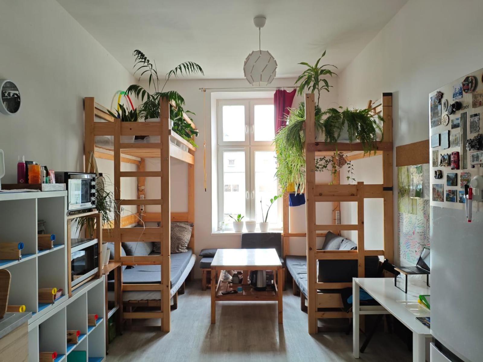 Evergreen Hostel Краков Экстерьер фото